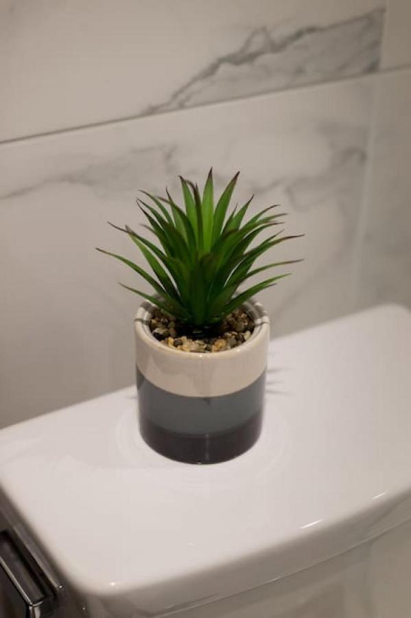 Palms Little Italy Studio With Full Bathroom By Denstays Μόντρεαλ Εξωτερικό φωτογραφία